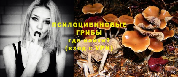 мескалин Чекалин