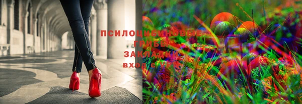 мескалин Чекалин