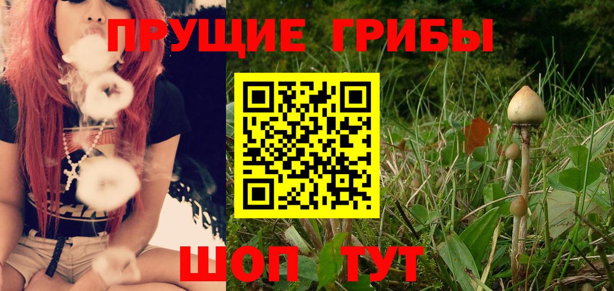 Псилоцибиновые грибы GOLDEN TEACHER Якутск
